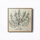 Henri Matisse(アンリ・マティス)低木 Le Platane(プラタナス)リトグラフ